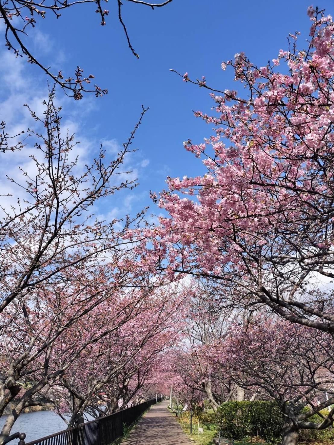 ホテル 海遊亭 河津町 エクステリア 写真